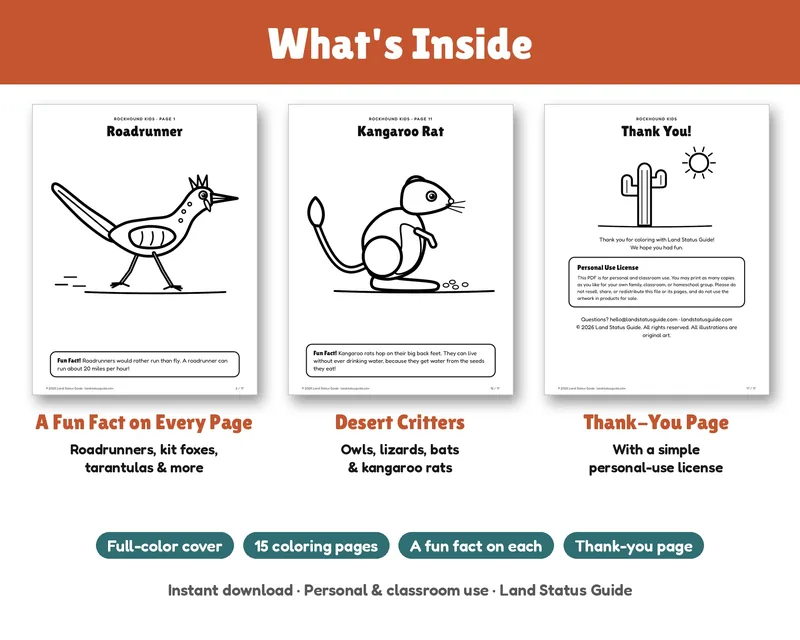 Inside pages from the Desert Animals of the Southwest Kids Coloring Pack