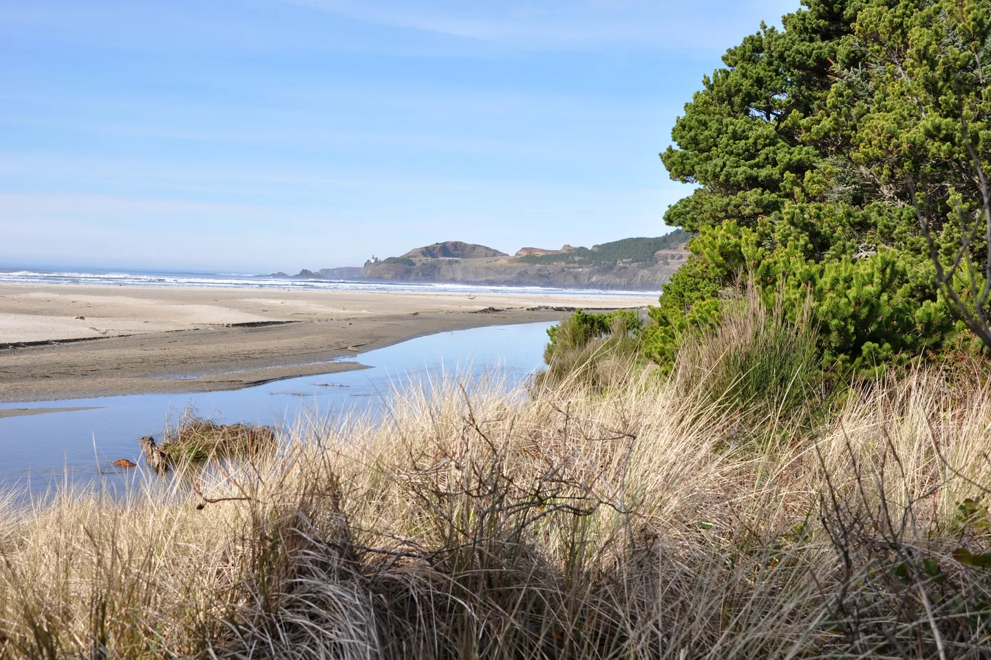 Agate Beach north of Newport, Oregon: dune grass and shore pine above a creek mouth, with the beach and a headland beyond