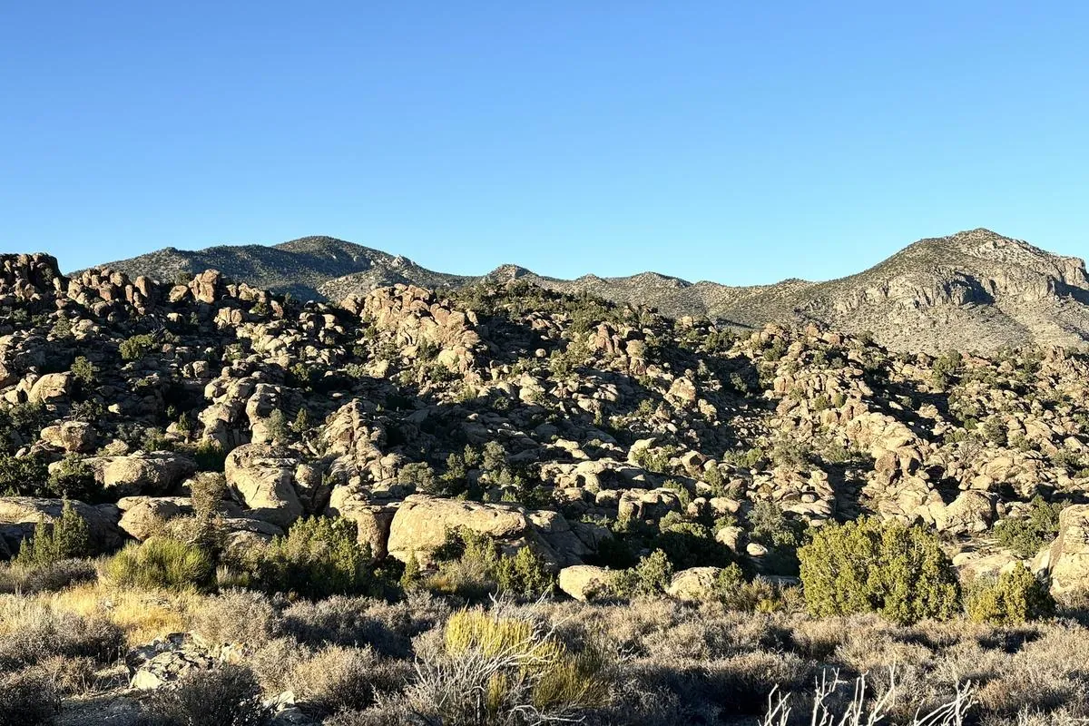 Rocky outcrops and desert scrub in Basin and Range National Monument, Nevada