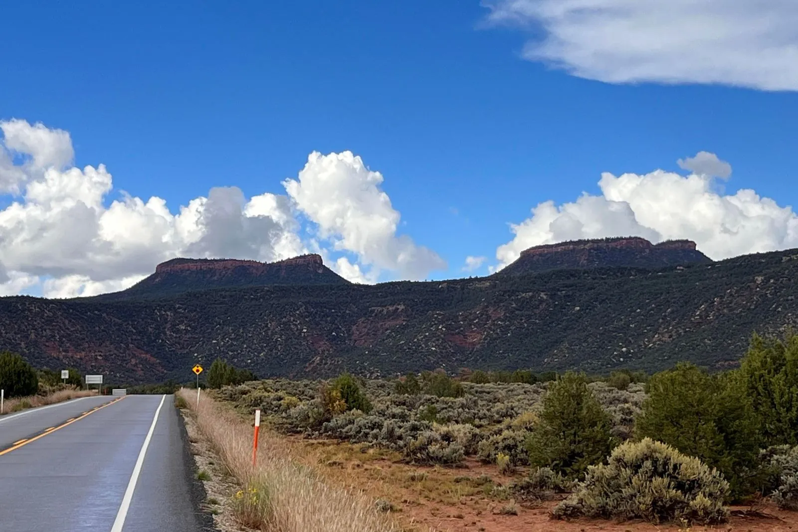 The two Bears Ears buttes rising above juniper and road in southeast Utah