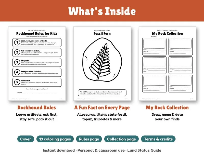Inside pages: Rockhound Rules for Kids, a fossil fern coloring page with a fun fact, and the My Rock Collection page