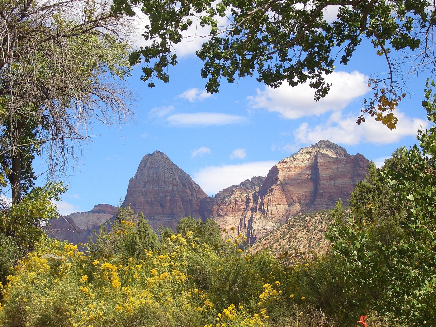 Zion Canyon, Utah — look, don’t collect